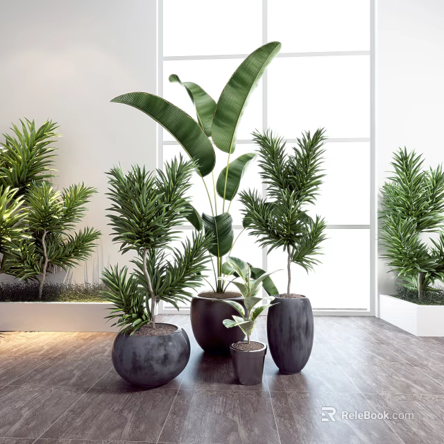 Bonsai Potted Plants With Various Green Foliage In Ceramic Pots Bright Indoor 3d model 