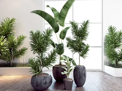 Bonsai Potted Plants With Various Green Foliage In Ceramic Pots Bright Indoor 3d model