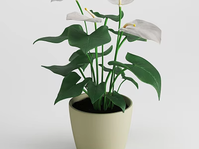 Decorative Potted Plant With White Flowers And Green Leaves In Light Colored Pot 3d model