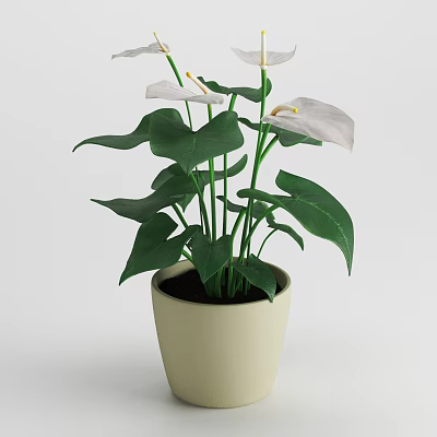 Decorative Potted Plant With White Flowers And Green Leaves In Light Colored Pot 3d model