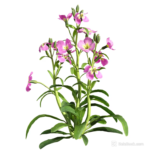 Vibrant Pink Flowers With Lush Green Leaves And Healthy Stems In Bloom 3d model 