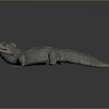 Gray Scaled Lizard Standing on Gray Background with Open Mouth 3d model