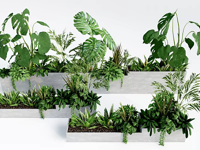 Potted Bonsai and Mixed Green Plants with Monstera Ferns Succulents in Concrete Planters 3d model