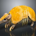 Yellow Armadillo With Scaly Shell And Long Claws On Gray Background With Reflection