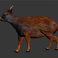 Red And Black Deer Figurine Standing On Smooth Surface With Detailed Features