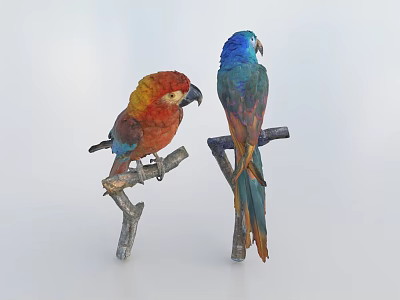 Colorful Red and Blue Parrots Perched on Tree Branches in Natural Scene 3d model
