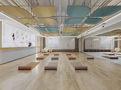 Spacious Yoga Studio Interior With Mats And Mirrors 3d model