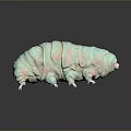 Green and Pink Spotted Tardigrade 3D Model With Legs Claws Gray Background Reflection 3d model