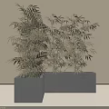 Gray Square Tree Planter with Tall Bamboo Plants in Minimalist Light Colored Space