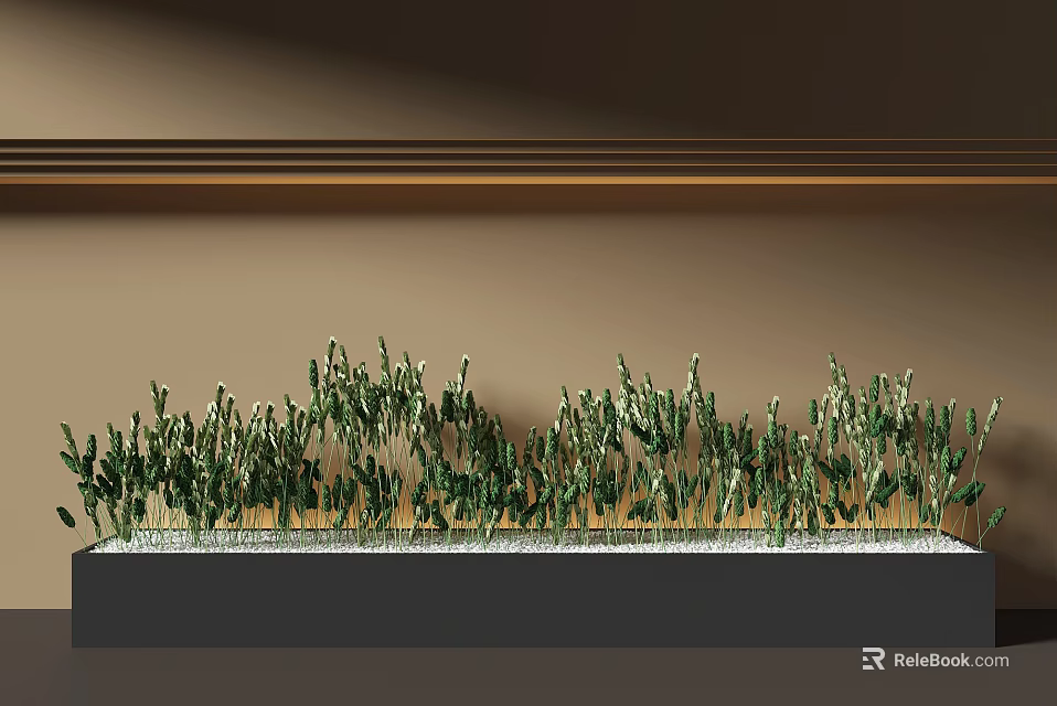 Indoor Green Plants In Black Rectangular Planter With Beige Wall And Wooden Trim 3d model 