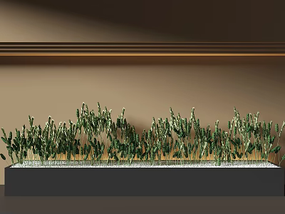 Indoor Green Plants In Black Rectangular Planter With Beige Wall And Wooden Trim 3d model