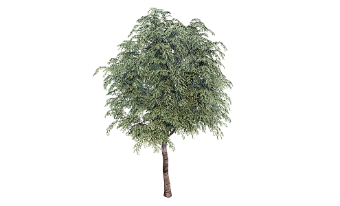 Modern tree big sapling 3d model