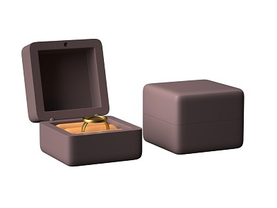 Ring Jewelry Box Jewelry model