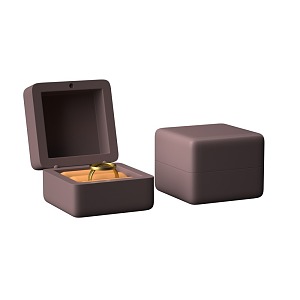 Ring Jewelry Box Jewelry 3d model