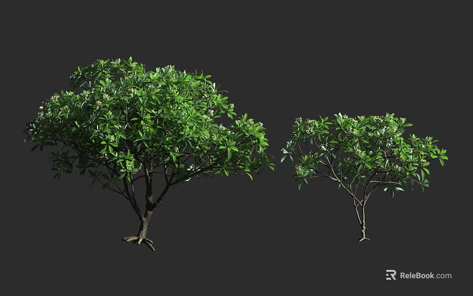 Two Green Leafy Arbor Trees With Lush Foliage And Trunk Structures 3d model 