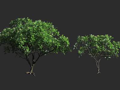 Two Green Leafy Arbor Trees With Lush Foliage And Trunk Structures 3d model