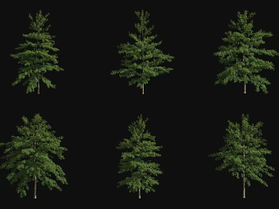 Green Arbor Trees With Various Shapes And Lush Foliage For Landscape Decoration 3d model