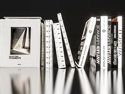 Modern Book Ornaments 3d model
