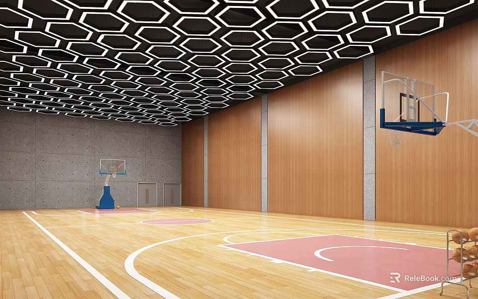 Basketball Gym Interior With Wooden Floor Pink Court Area White Lines Black Hexagonal Ceiling Hoops 3d model 