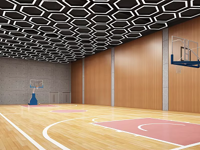 Basketball Gym Interior With Wooden Floor Pink Court Area White Lines Black Hexagonal Ceiling Hoops 3d model