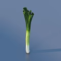 Fresh Green Onions Displayed On Smooth Gray Background With Vibrant Green Leaves And White Stalks