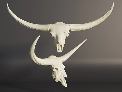 Two White Animal Skull Wall Decor With Long Horns For Home Decoration 3d model