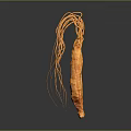 Fresh Orange Ginseng Like Food With Long Tendrils And Natural Shape On Dark Reflective Background