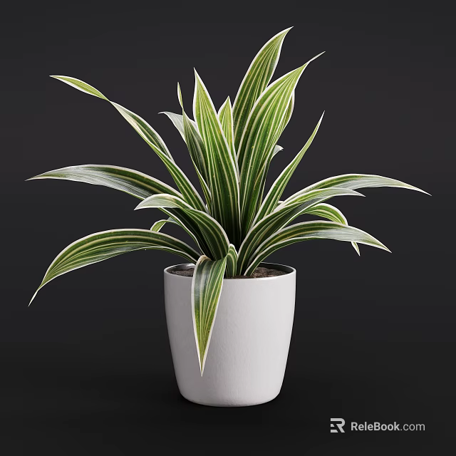 Decorative Potted Plant With Green And White Striped Leaves In White Pot 3d model 