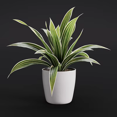 Decorative Potted Plant With Green And White Striped Leaves In White Pot 3d model