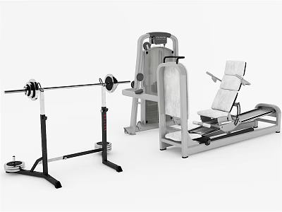 High Quality Sports Equipment Featuring Barbell Weight Rack And Exercise Bench 3d model
