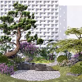 Courtyard Garden With Curved Pine Tree Purple Flowers Green Shrubs And Pebble Ground