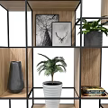Open Shelving Unit With Wooden Panels Black Metal Frame Decorative Plants Photo Frames And Books
