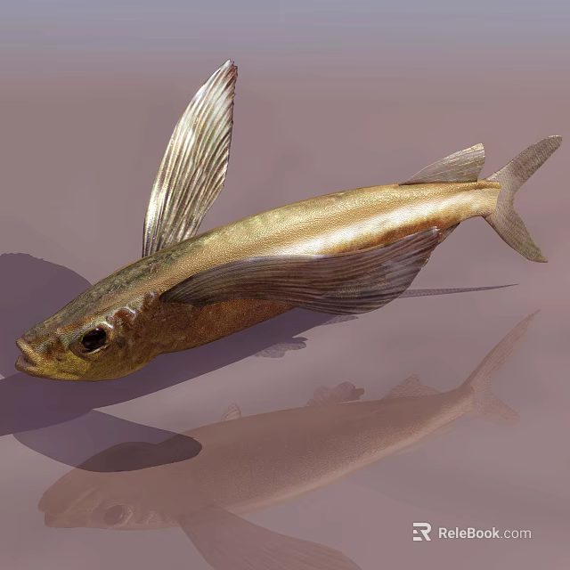 Golden Aquatic Fish With Large Shiny Fins And Water Reflection 3d model 