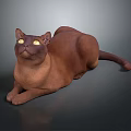 Realistic Brown Cat With Yellow Eyes Lying On Dark Background 3d model