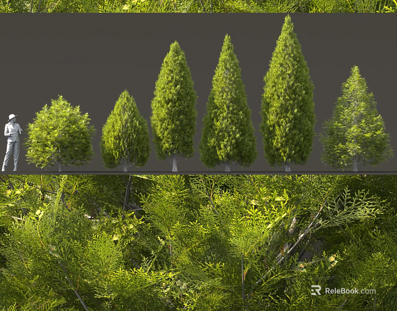 Green Shrubs Featuring Various Shapes Lush Foliage And Size Comparison 3d model 