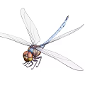 Detailed Blue Body Dragonfly with Transparent Wings Brown Head and Compound Eyes