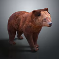 Realistic Brown Bear With Thick Fur Standing Against Dark Background 3d model