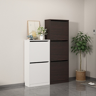 Entrance Shoe Cabinet Entrance Cabinet 3d model