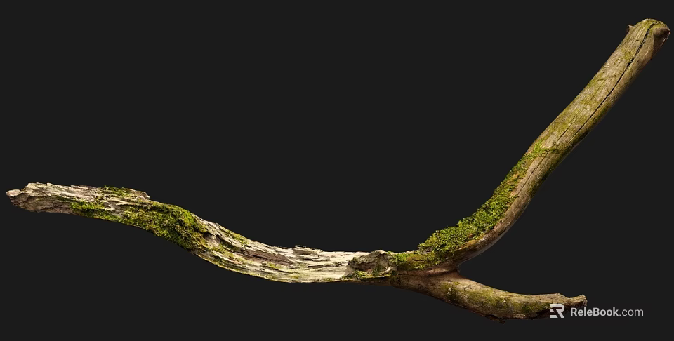 Natural Wooden Branch With Mossy Texture And Stone Like Details On Black Background 3d model 