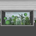 Sophisticated Shop Window Display With Green Spheres Plants And Glass Shelves