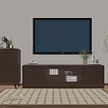 Modern TV Stand with Flat Screen TV Wooden Dresser Green Plants and Patterned Rug