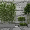 Decorative Bamboo Plants in Concrete Planters with Various Heights Against Gray Stone Wall