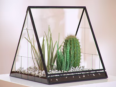 Decorative Ornament Set with Triangular Glass Frame Cactus Succulents and White Pebbles 3d model