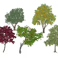 Diverse Arbor Trees Showcasing Different Foliage Colors And Shapes 3d model