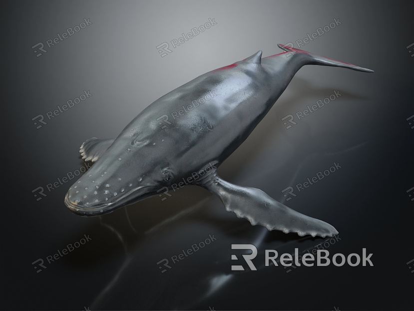 modern whale model