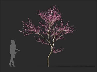 Ornamental Arbor With Pink Blossoms And Human Silhouette On Dark Background 3d model