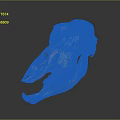 Detailed Animal Skull Anatomical Model Medical Device For Medical Education