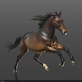Brown Horse Running With Flowing Mane And Tail On Dark Background