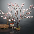 Blooming Pink Flowering Tree with Wooden Box Colorful Cabinet and Small Tray on Dark Background