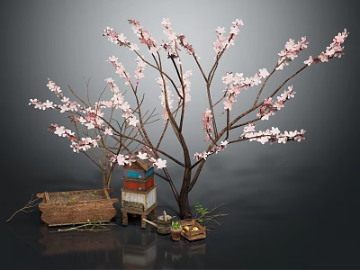 Blooming Pink Flowering Tree with Wooden Box Colorful Cabinet and Small Tray on Dark Background 3d model